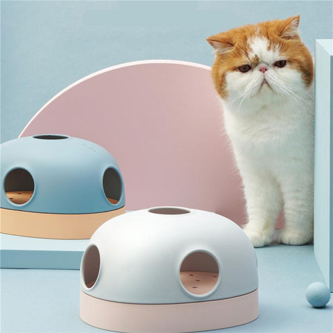 Turntable Ball Hole 3 in 1 Cat Toy