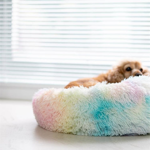 Rainbow Series Unicorn Color Dog Bed